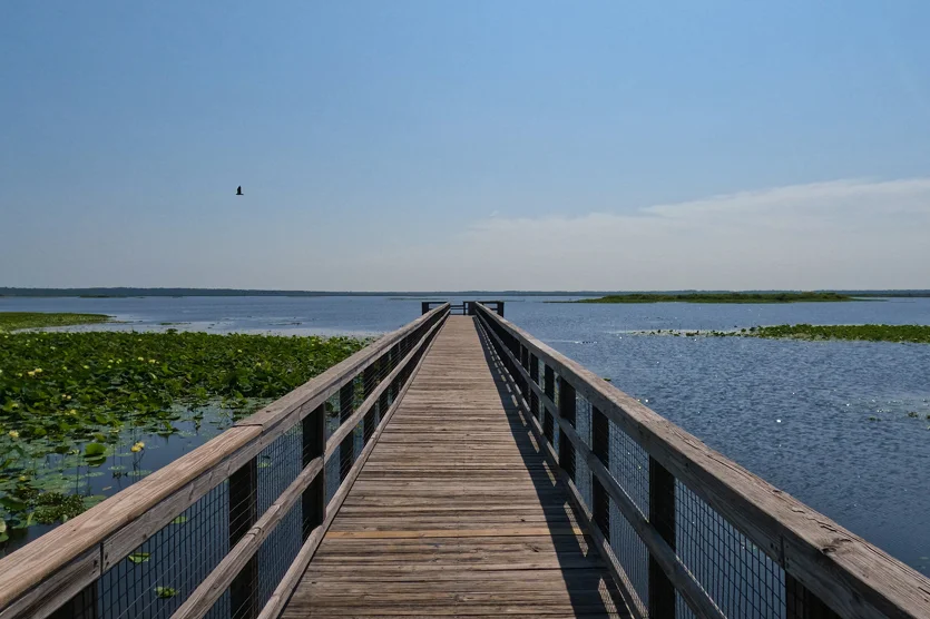 Views around Paynes Prairie Preserve State Park in Gainesville – best home insurance in Florida.